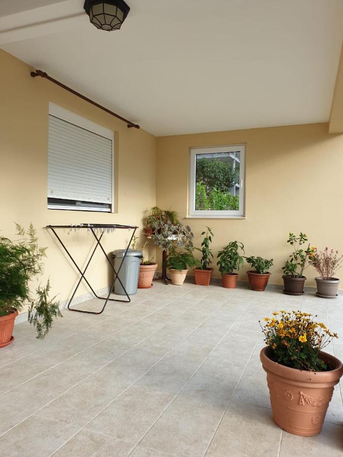 Apartment Jelena Kotor Exterior photo