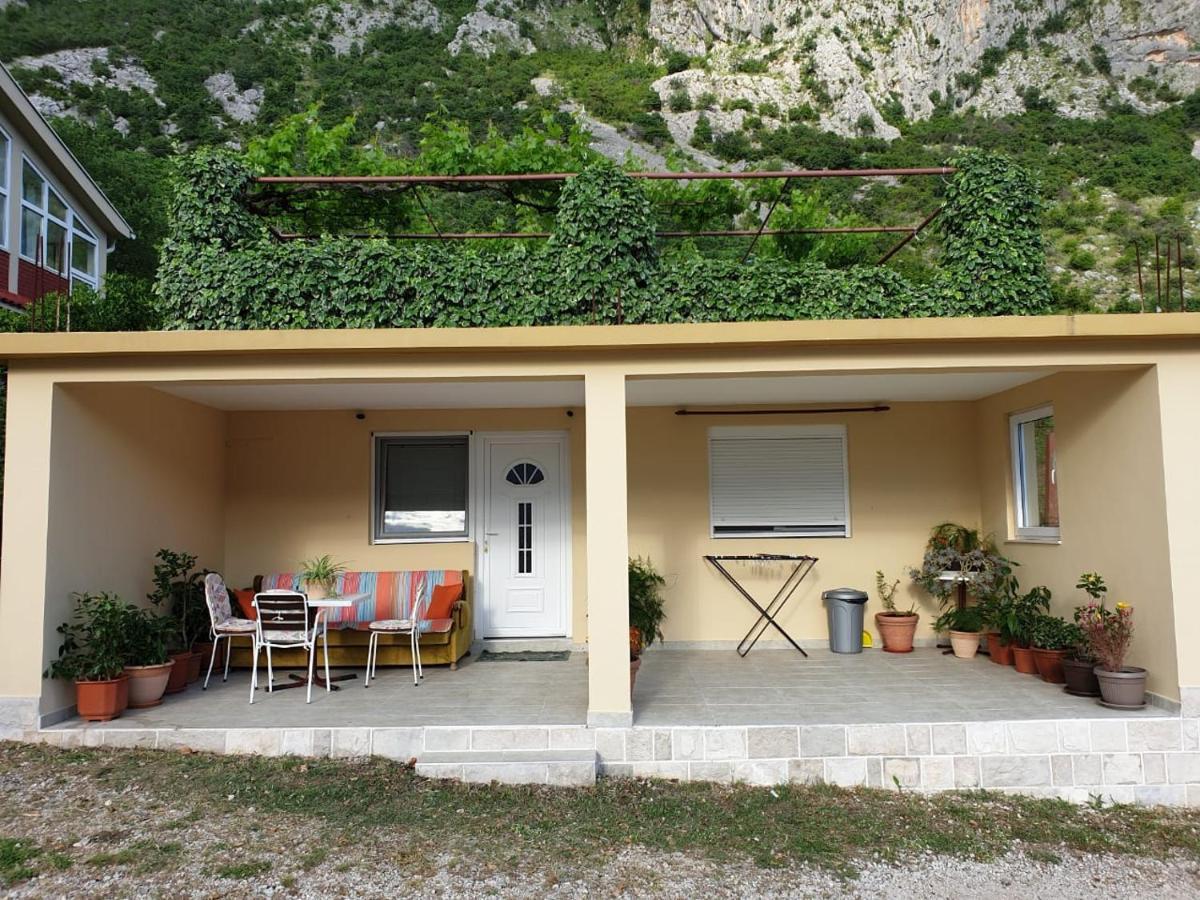 Apartment Jelena Kotor Exterior photo